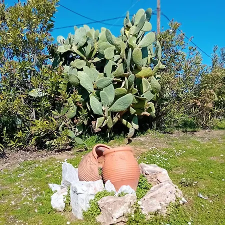 Cactus Luxury Appartement *