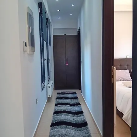 Cactus Luxury * Oreoi
