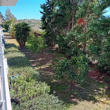 Cactus Luxury Appartement Oreoi